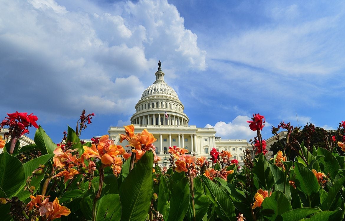 Capitol Building, Washington, DC