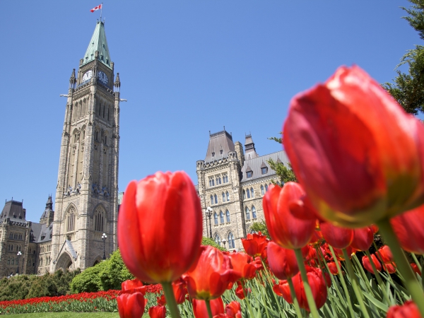 Ottawa is a truly picturesque, don't miss the infamous Parliament Hill 