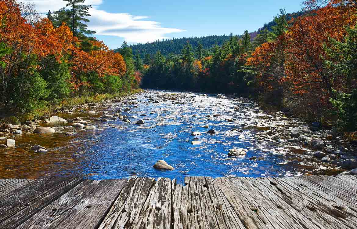 Fall Colours of New England Escorted Tour