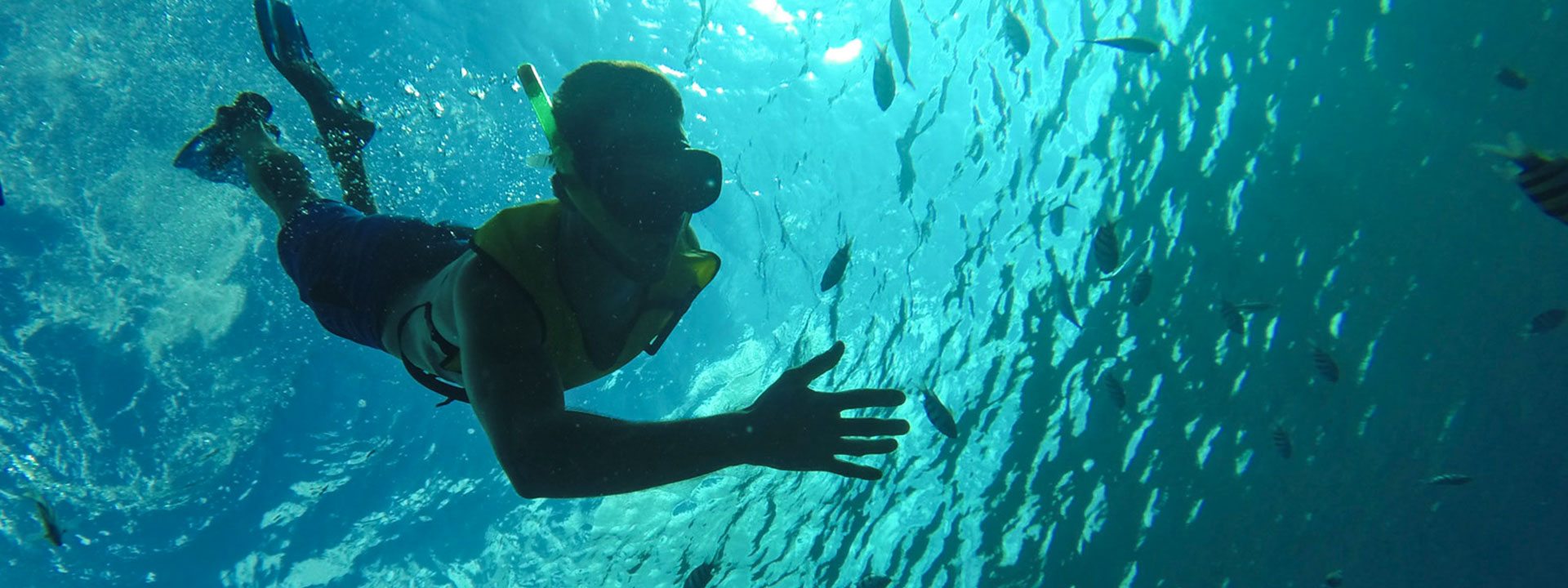 Cozumel, Mexico Cruise Holidays Scuba Diving