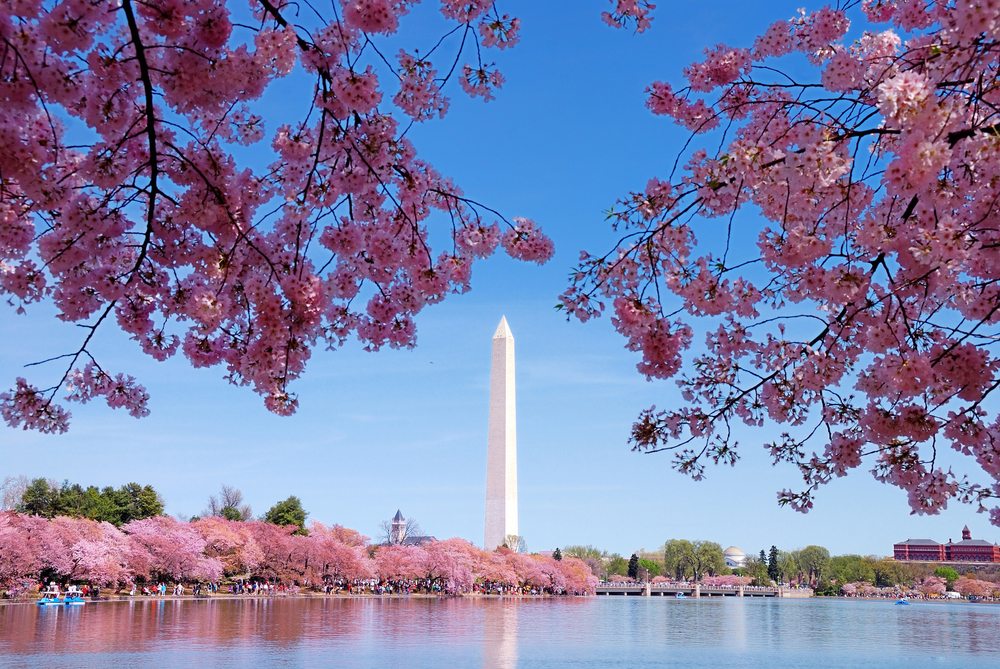 Things to do in Washington, DC  with kids