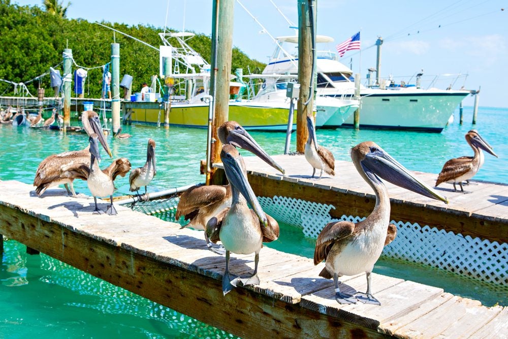 places to stop on a drive from Miami to keywest