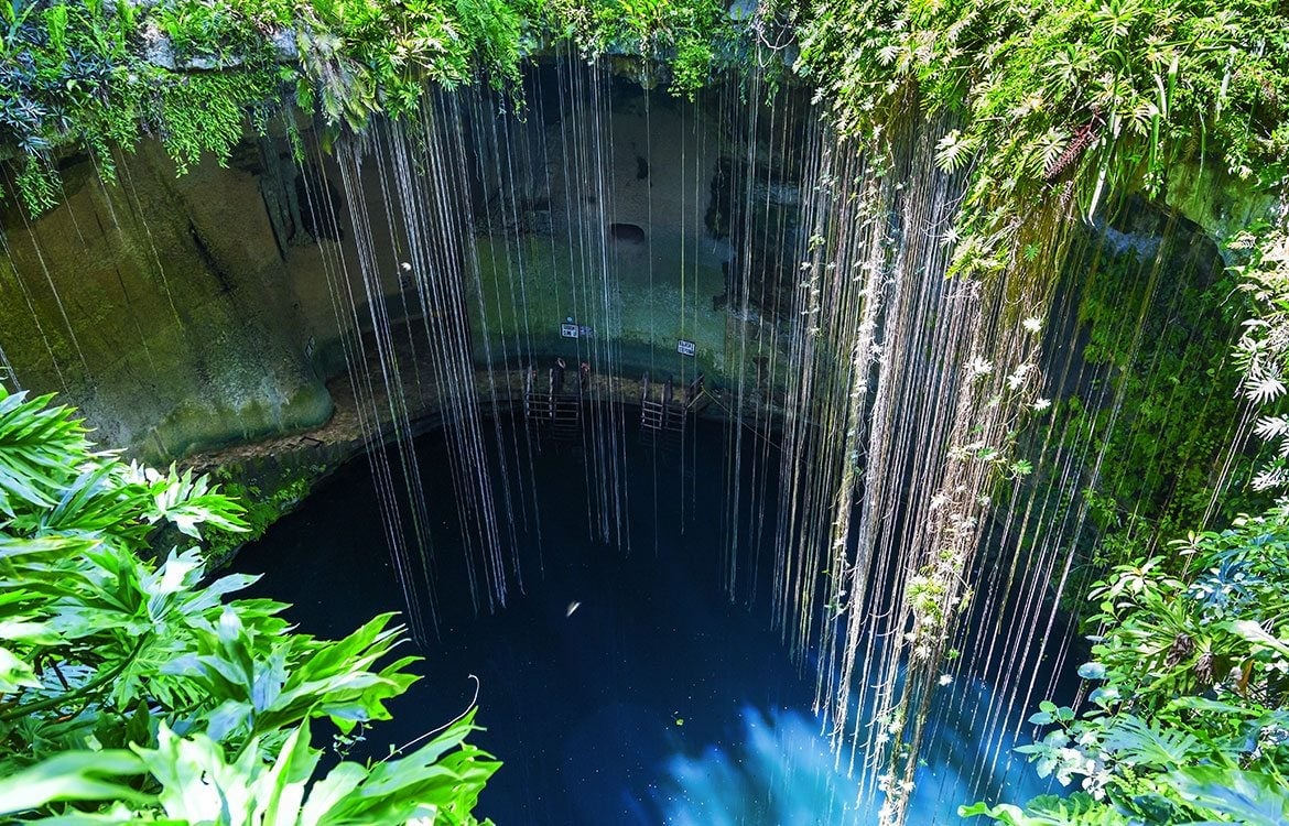 Paradise Swimming