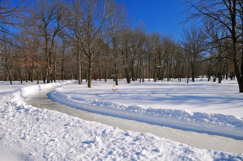 Valentine's day in Montreal