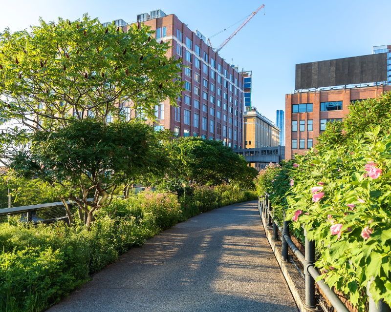 High Lane Park in New York