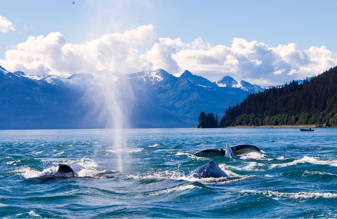 Seattle & Alaska Cruise 