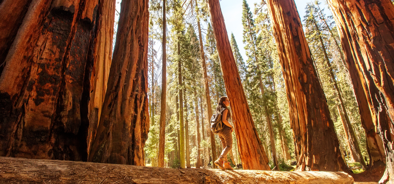 Best Outdoor Experiences in Northern California