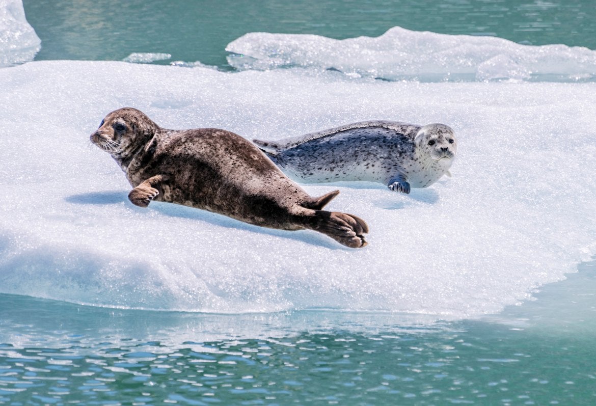 Seattle & Alaska Cruise