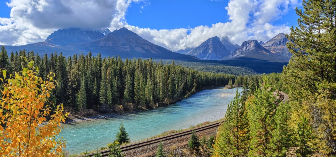 Canadian Forest Landscape