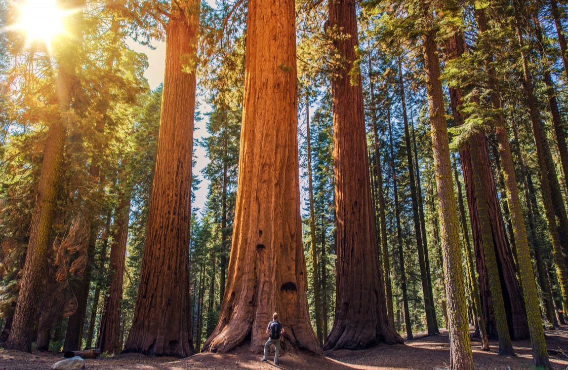 top outdoor experiences in california