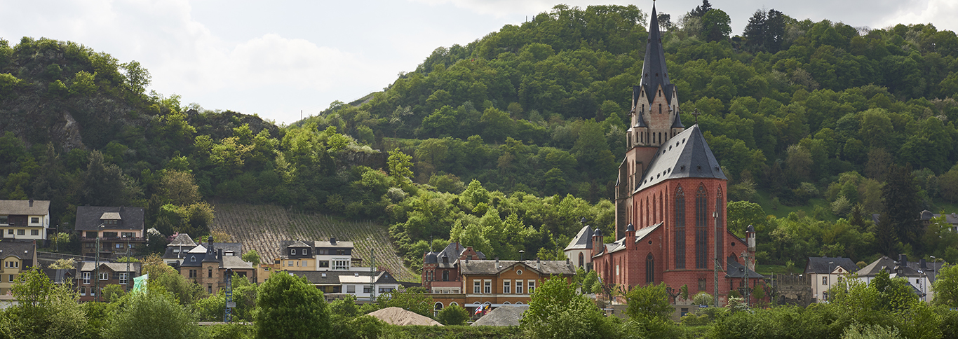 Castles Along the Rhine River Cruise