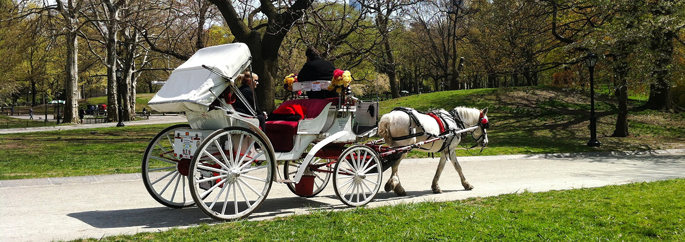couple enjoying Central park carriage ride in NYC