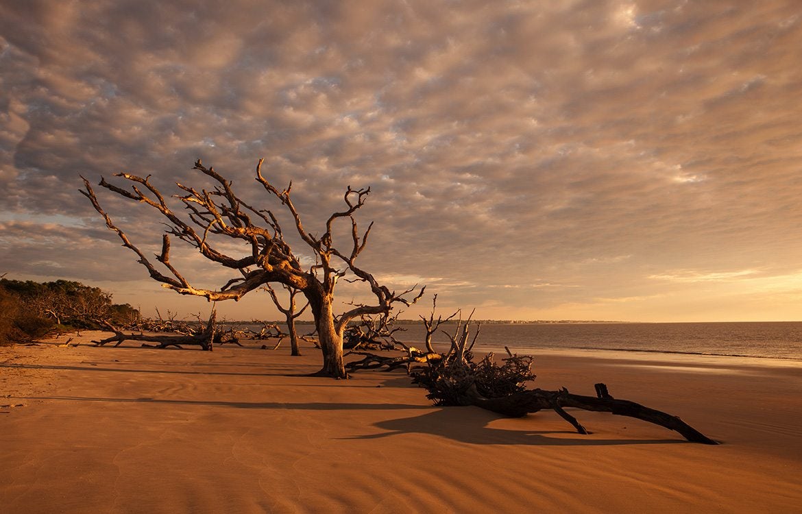 Barrier Island, Georgia