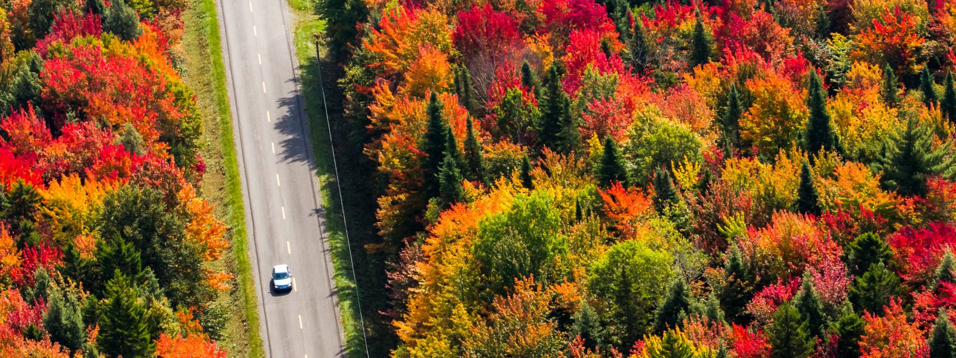 Fall Colours in Quebec City