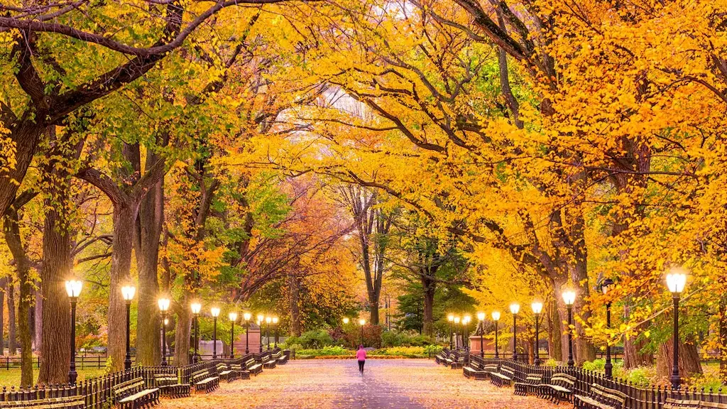 Central Park - New York City